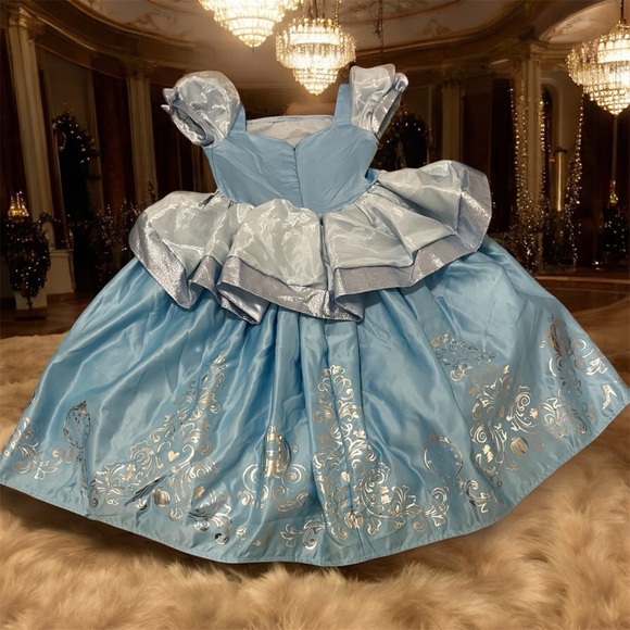 Disney Cinderella Shimmering Blue and Silver Princess Dress Costume - Picture 3 of 4